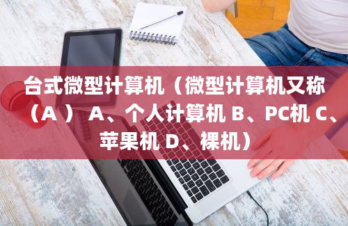 台式微型计算机（微型计算机又称（A ） A、个人计算机 B、PC机 C、苹果机 D、裸机）