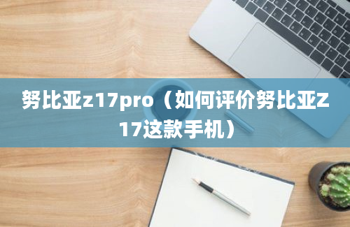 努比亚z17pro（如何评价努比亚Z17这款手机）