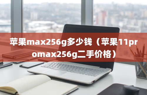 苹果max256g多少钱（苹果11promax256g二手价格）