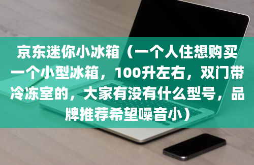 京东迷你小冰箱（一个人住想购买一个小型冰箱，100升左右，双门带冷冻室的，大家有没有什么型号，品牌推荐希望噪音小）