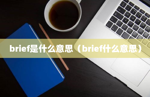 brief是什么意思（brief什么意思）