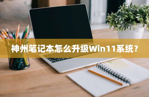 神州笔记本怎么升级Win11系统？