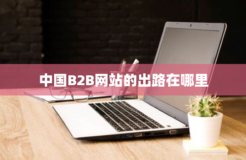 中国B2B网站的出路在哪里