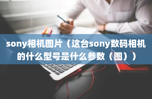 sony相机图片（这台sony数码相机的什么型号是什么参数（图））