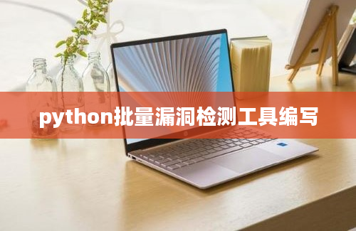 python批量漏洞检测工具编写