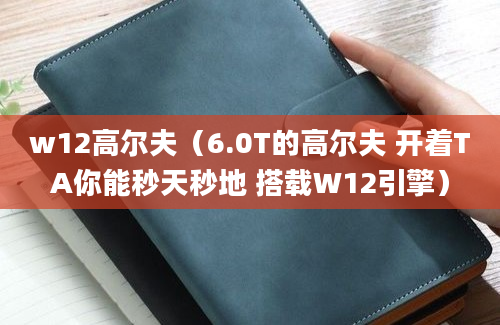 w12高尔夫（6.0T的高尔夫 开着TA你能秒天秒地 搭载W12引擎）