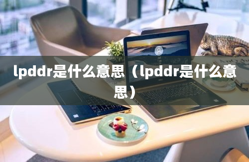 lpddr是什么意思（lpddr是什么意思）