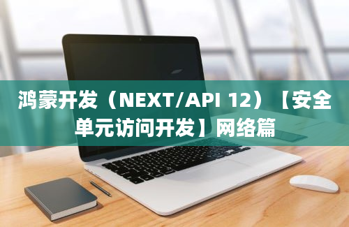 鸿蒙开发（NEXT/API 12）【安全单元访问开发】网络篇