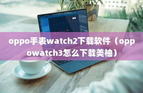 oppo手表watch2下载软件（oppowatch3怎么下载美柚）