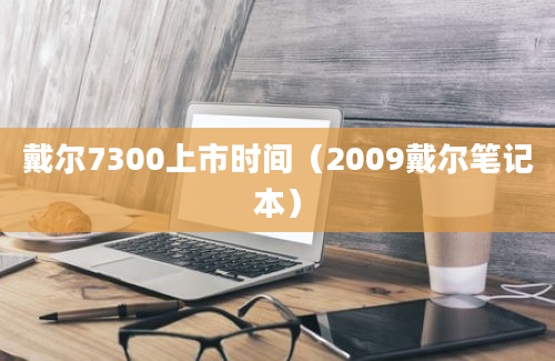 戴尔7300上市时间（2009戴尔笔记本）