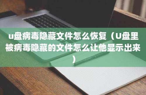 u盘病毒隐藏文件怎么恢复（U盘里被病毒隐藏的文件怎么让他显示出来）