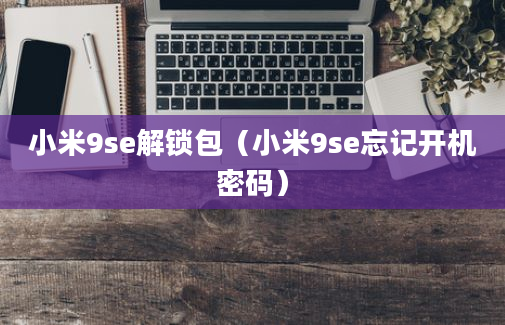 小米9se解锁包（小米9se忘记开机密码）