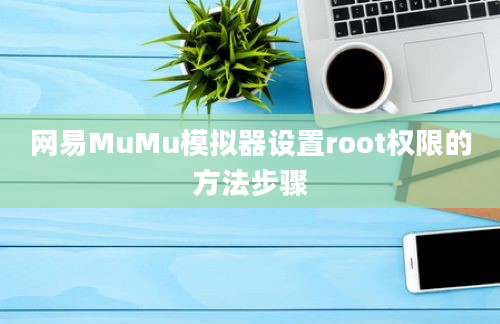 网易MuMu模拟器设置root权限的方法步骤