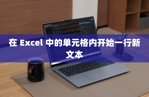 在 Excel 中的单元格内开始一行新文本