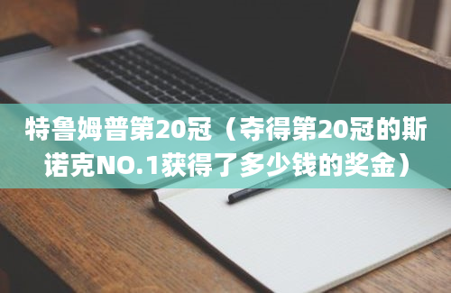 特鲁姆普第20冠（夺得第20冠的斯诺克NO.1获得了多少钱的奖金）