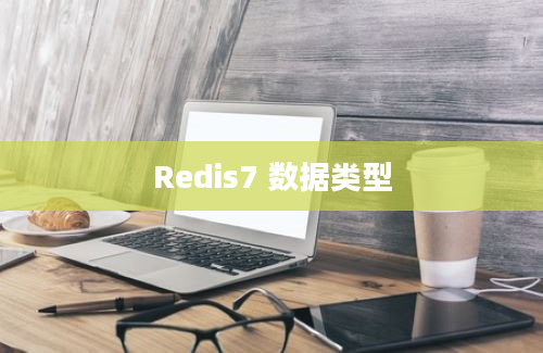 Redis7 数据类型