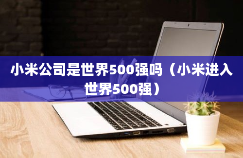 小米公司是世界500强吗（小米进入世界500强）