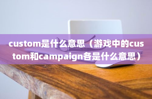 custom是什么意思（游戏中的custom和campaign各是什么意思）