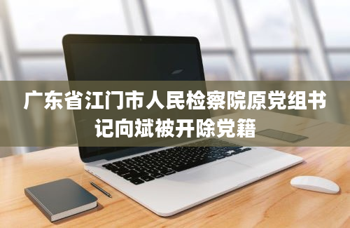 广东省江门市人民检察院原党组书记向斌被开除党籍