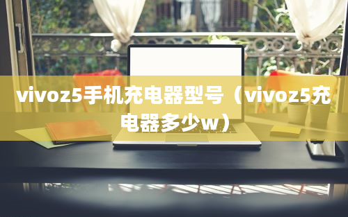 vivoz5手机充电器型号（vivoz5充电器多少w）