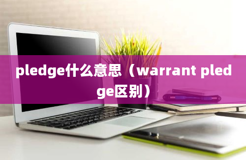 pledge什么意思（warrant pledge区别）