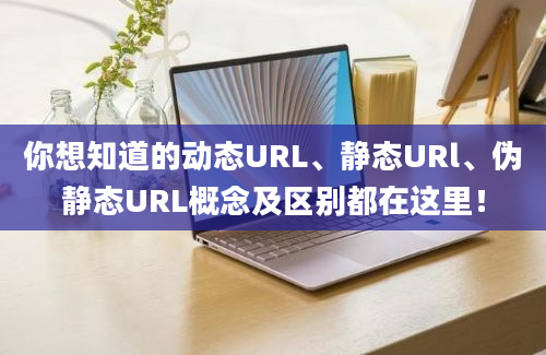 你想知道的动态URL、静态URl、伪静态URL概念及区别都在这里！