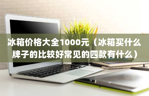 冰箱价格大全1000元（冰箱买什么牌子的比较好常见的四款有什么）