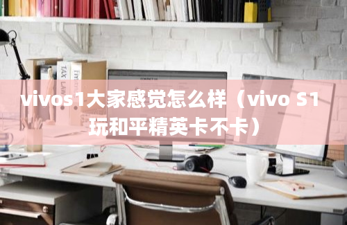 vivos1大家感觉怎么样（vivo S1 玩和平精英卡不卡）