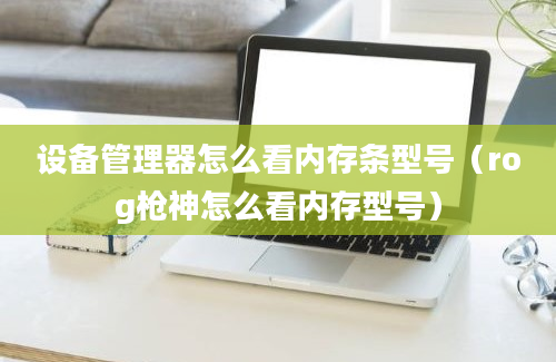 设备管理器怎么看内存条型号（rog枪神怎么看内存型号）