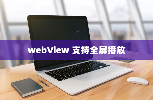 webView 支持全屏播放