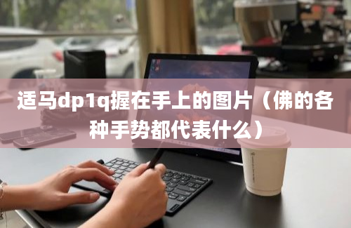 适马dp1q握在手上的图片（佛的各种手势都代表什么）