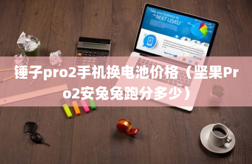 锤子pro2手机换电池价格（坚果Pro2安兔兔跑分多少）