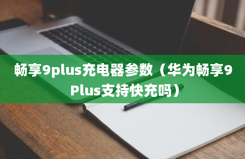 畅享9plus充电器参数（华为畅享9 Plus支持快充吗）