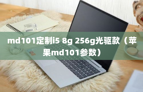 md101定制i5 8g 256g光驱款（苹果md101参数）