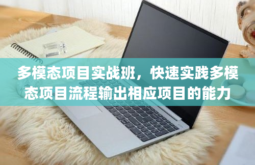 多模态项目实战班，快速实践多模态项目流程输出相应项目的能力