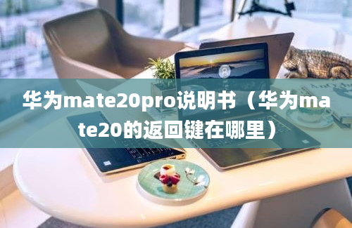 华为mate20pro说明书（华为mate20的返回键在哪里）