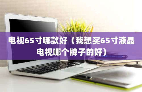 电视65寸哪款好（我想买65寸液晶电视哪个牌子的好）