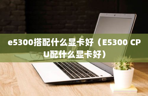 e5300搭配什么显卡好（E5300 CPU配什么显卡好）