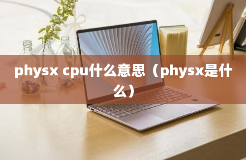 physx cpu什么意思（physx是什么）