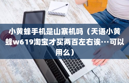 小黄蜂手机是山寨机吗（天语小黄蜂w619淘宝才买两百左右诶···可以用么）