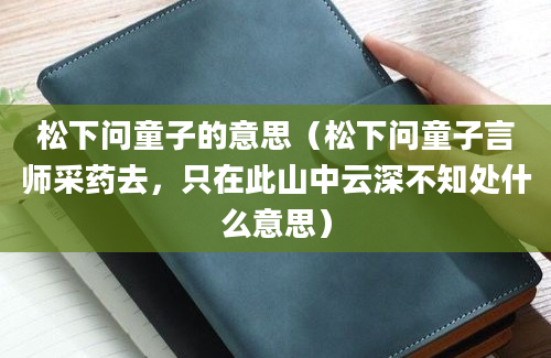 松下问童子的意思（松下问童子言师采药去，只在此山中云深不知处什么意思）