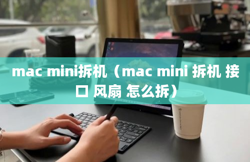 mac mini拆机（mac mini 拆机 接口 风扇 怎么拆）