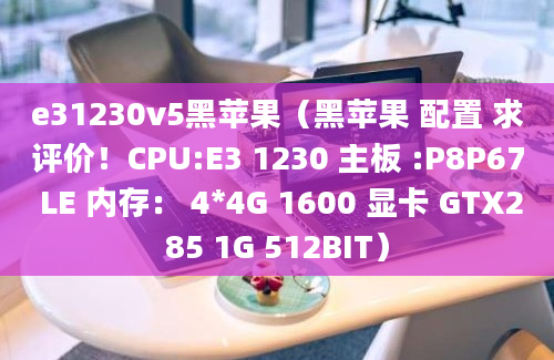 e31230v5黑苹果（黑苹果 配置 求评价！CPU:E3 1230 主板 :P8P67 LE 内存： 4*4G 1600 显卡 GTX285 1G 512BIT）