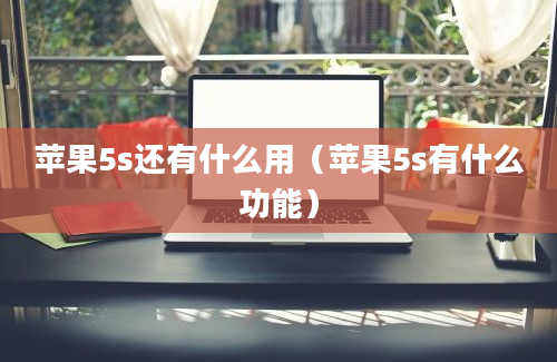 苹果5s还有什么用（苹果5s有什么功能）