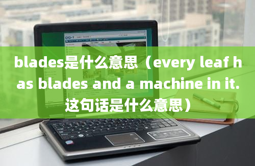 blades是什么意思（every leaf has blades and a machine in it.这句话是什么意思）