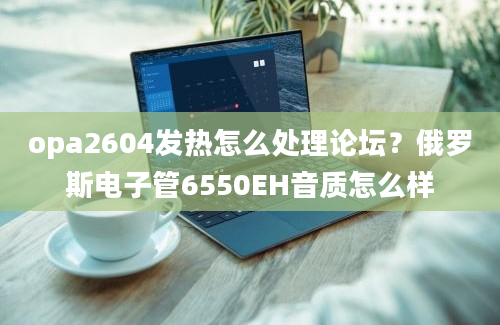 opa2604发热怎么处理论坛？俄罗斯电子管6550EH音质怎么样