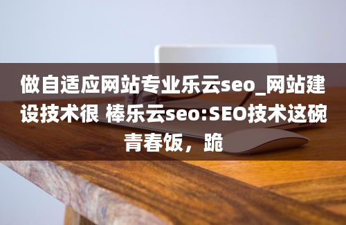 做自适应网站专业乐云seo_网站建设技术很 棒乐云seo:SEO技术这碗青春饭，跪