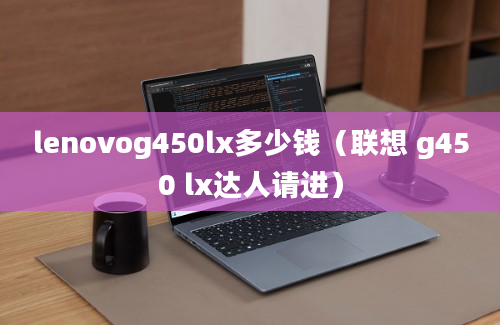 lenovog450lx多少钱（联想 g450 lx达人请进）