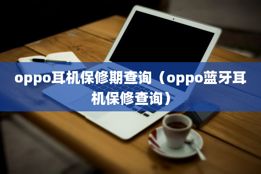 oppo耳机保修期查询（oppo蓝牙耳机保修查询）