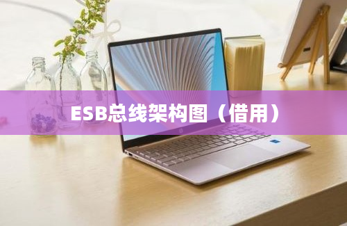 ESB总线架构图（借用）